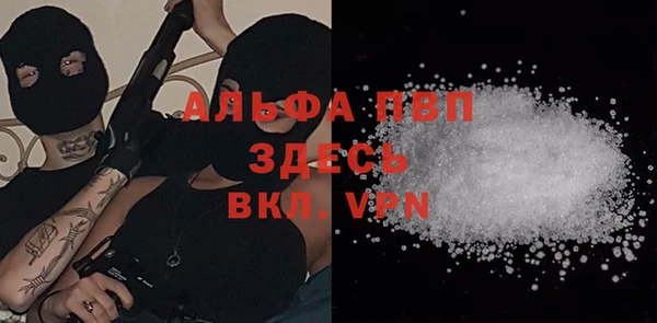 стаф Нефтегорск