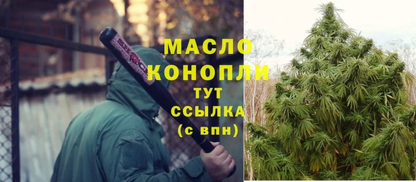 дживик Надым