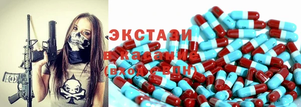 дживик Надым