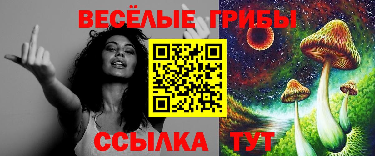 Галлюциногенные грибы прущие грибы  где продают   Нерюнгри  Псилоцибиновые грибы GOLDEN TEACHER  Вход с VPN 