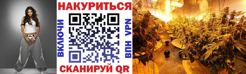 Канабис OG Kush  Нерюнгри 